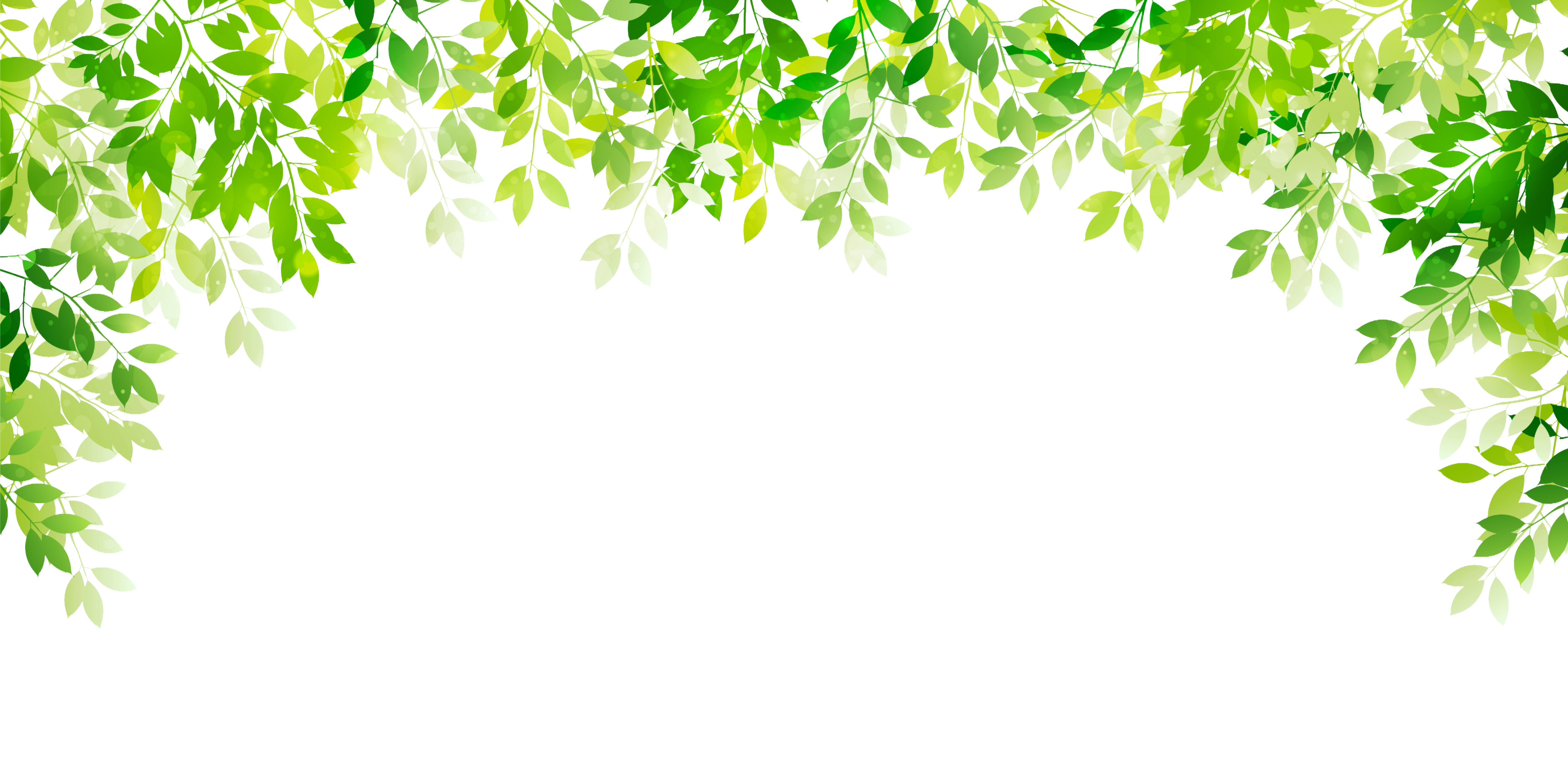 葉っぱ装飾